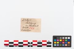 Etikett zu Bronzekugelkopfnadeln (NHMW-PRAE-024615)